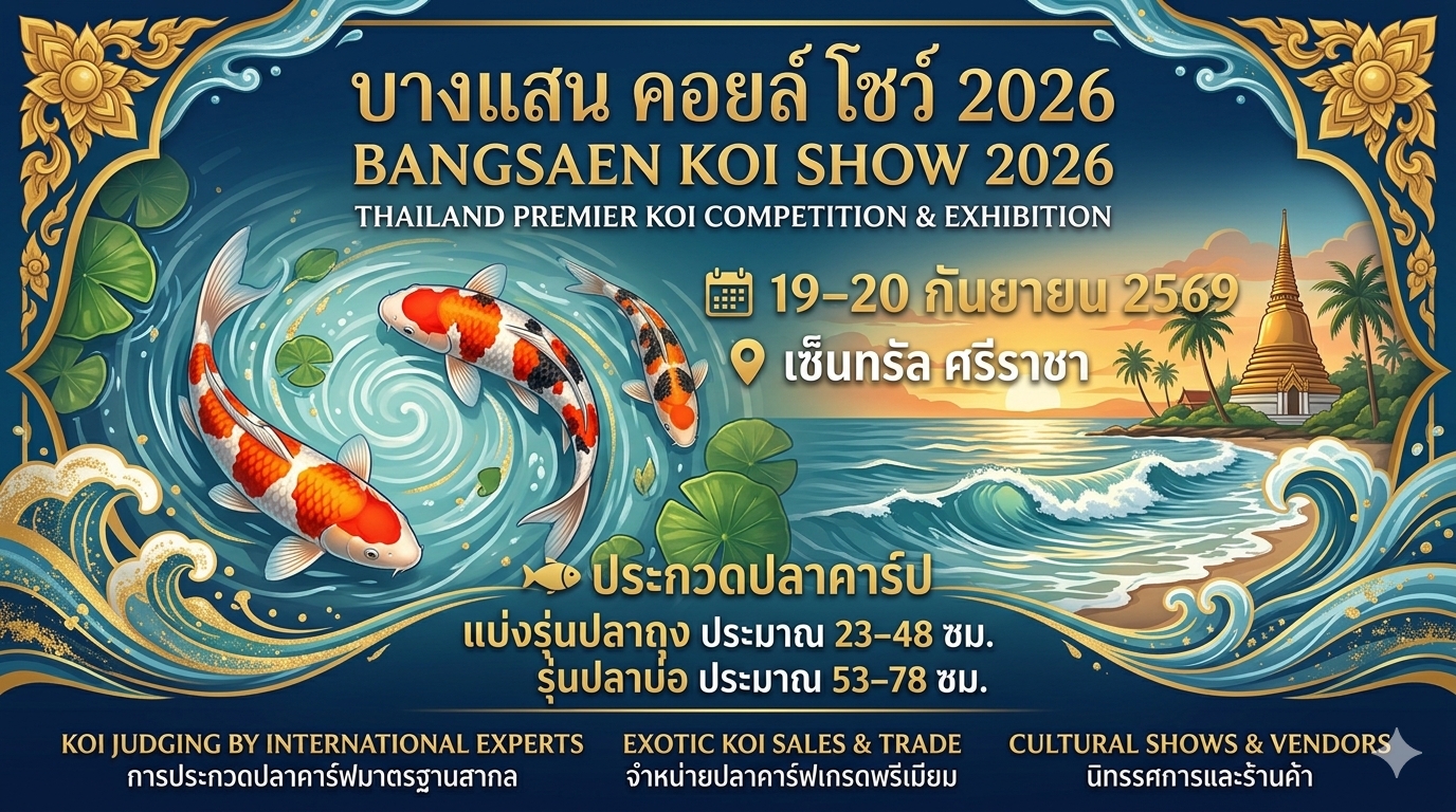 Bangsean Koi Show 2026 งานประกวดปลาคาร์ประดับประเทศ
