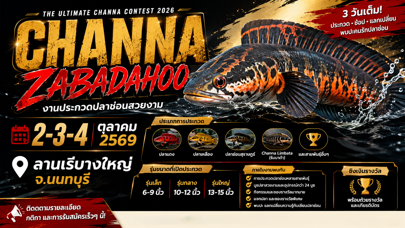 งานประกวดปลาช่อน CHANNA ZABADAHOO 2026