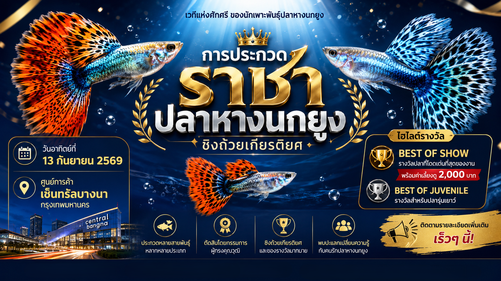 “ราชาปลาหางนกยูง 2569” ชิงถ้วยเกียรติยศ